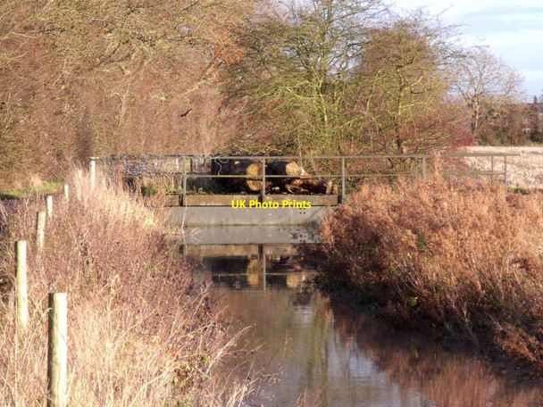 Photo 6"x4" No room under the bridge Sinfin Moor c2012