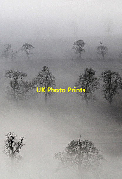 Photo 6"x4" Mist and trees at Brotherstone East Third\/NT6436 c2012