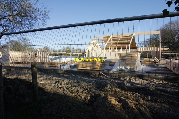 Photo 6"x4" Through the fence Cholsey c2012