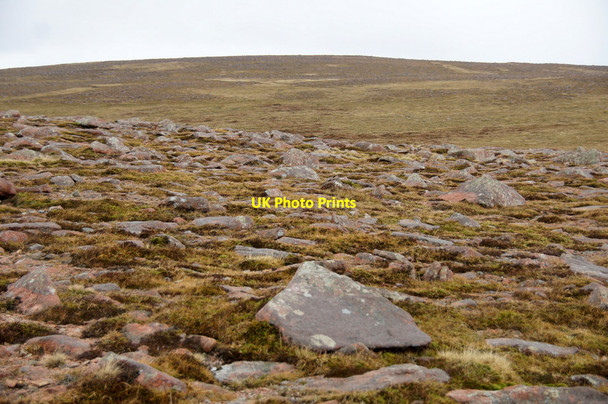 Photo 6"x4" Mid Field from Roga Field North Collafirth c2012