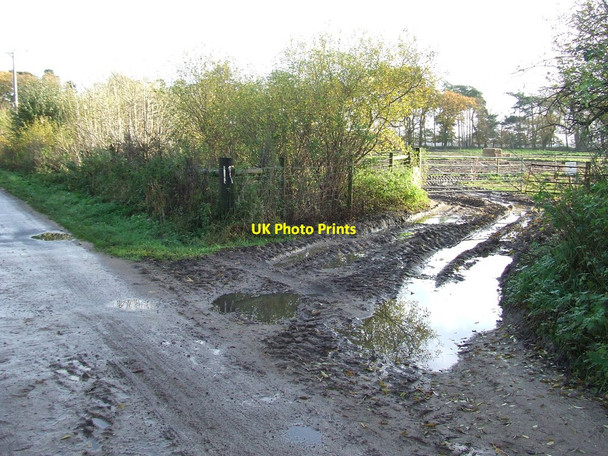 Photo 6"x4" Muddy Field Entrance Tuddenham\/TL7371 c2012