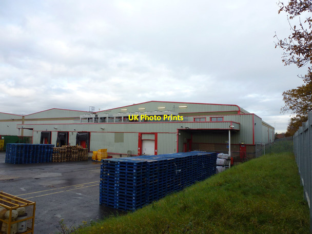 Photo 6"x4" At the back Rayleigh c2012