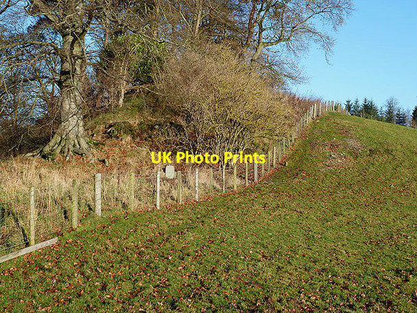 Photo 6"x4" A field edge at Will's Nick Selkirk c2012