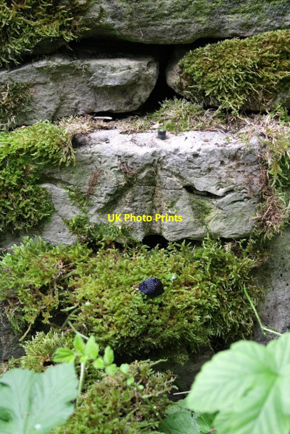 Photo 6"x4" Benchmark on stone in wall of Morpeth Gate West Burton\/SE0186 c2012
