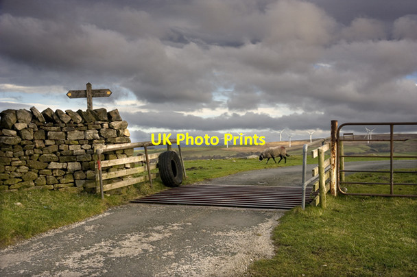 Photo 6"x4" Cattlegrid on the Littledale Road Crossgill\/SD5562 c2012