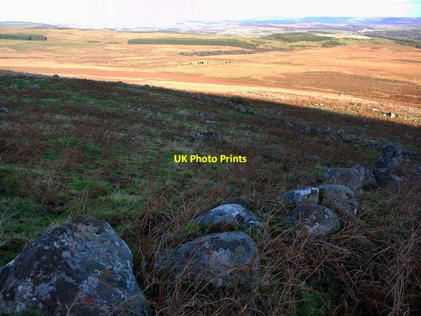 Photo 6"x4" Enclosure north-east of Dod Hill South Middleton c2012