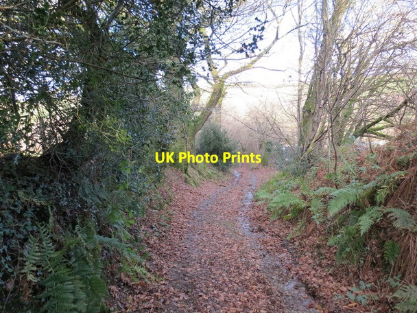 Photo 6"x4" Hen Heol Marchoglwyn Uchaf Old Road Abergorlech c2012