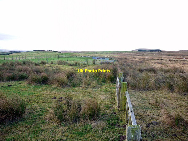 Photo 6"x4" Sheep pens above Old Middleton South Middleton c2012