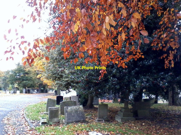 Photo 6"x4" Western Cemetery, Hull Kingston upon Hull c2012 P1