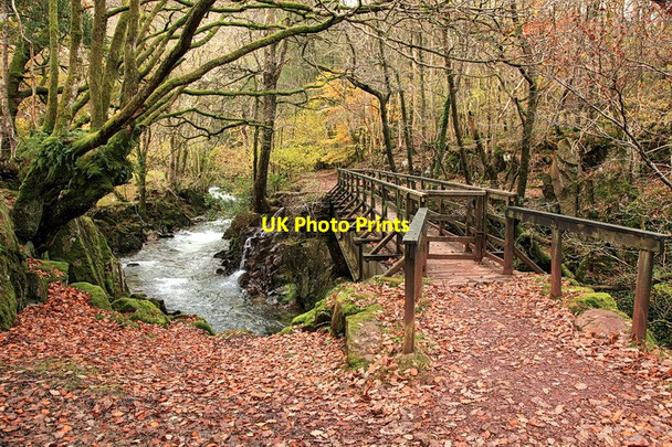 Photo 6"x4" Footbridge over The River Esk Boot c2012
