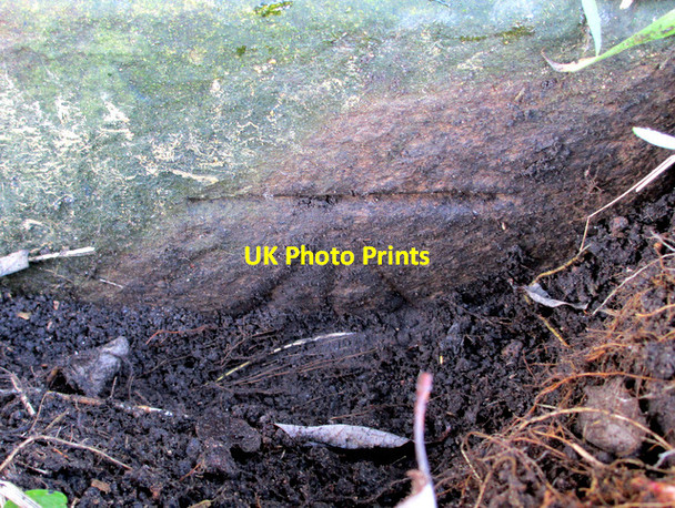 Photo 6"x4" Bench mark by Blackgates Lodge Mold\/Yr Wyddgrug c2012
