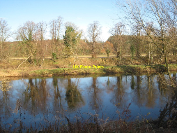 Photo 6"x4" The Tyne and Abbeybank Wood Broomhaugh c2012