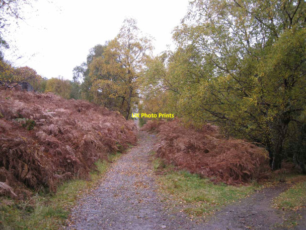 Photo 6"x4" Path through Glac Shieldaig Shieldaig c2012