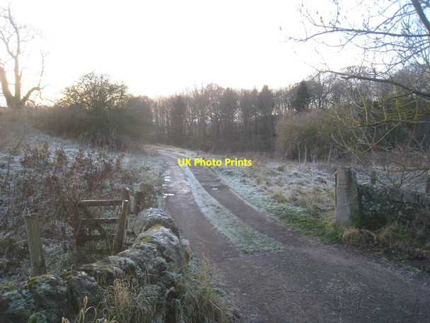 Photo 6"x4" Track to Corbridge Mill Sandhoe c2012
