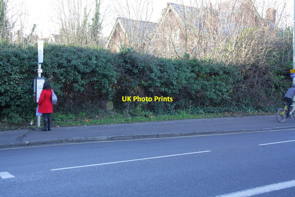 Photo 6"x4" Milestone in hedge of Woodstock Road Upper Wolvercote c2012