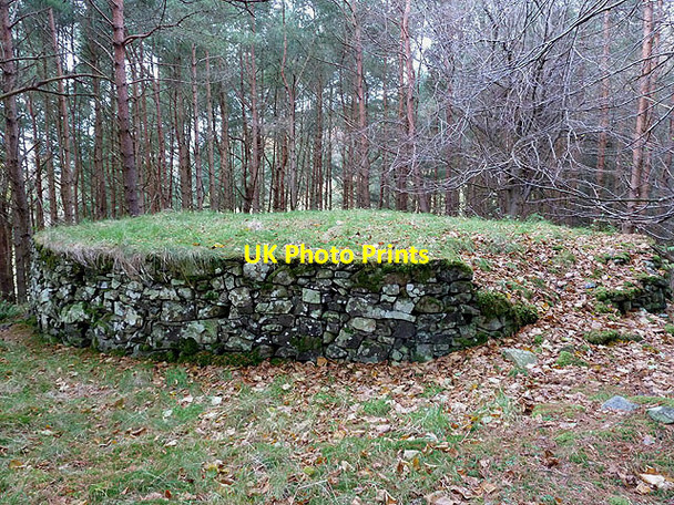Photo 6"x4" An oddity in Burial Ground Wood, Bowland Ferniehirst c2012
