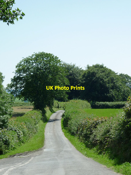 Photo 6"x4" The road to Glan Denys, Ceredigion Betws Bledrws c2012