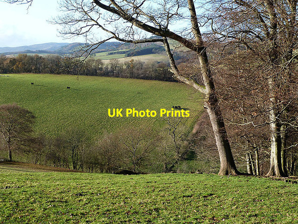 Photo 6"x4" Farmland at Broomhill, Selkirk Selkirk c2012