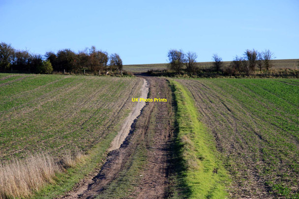 Photo 6"x4" Track to Churn Hill Woodway c2012