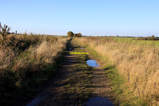 Photo 6"x4" The former track bed of the Didcot, Newbury and Southampton Railway East Ilsley c2012