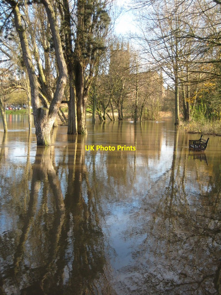 Photo 6"x4" A flooded Bromwich Parade Worcester c2012