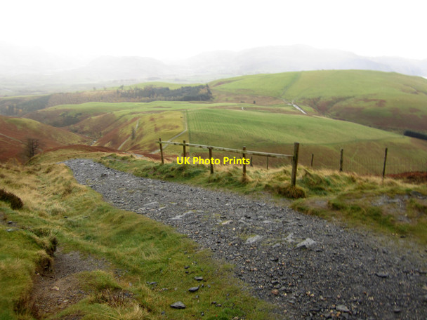 Photo 6"x4" Looking down the path Briery c2012
