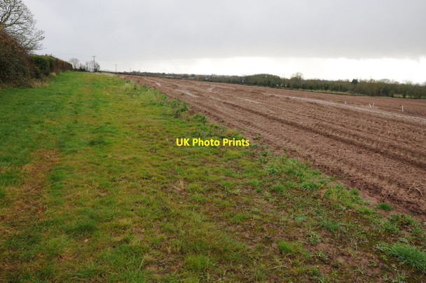 Photo 6"x4" Field headland Preston Wynne c2012