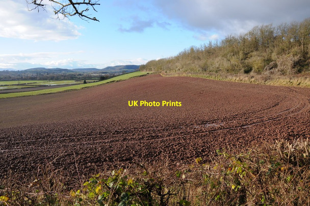 Photo 6"x4" Ploughed field below Sutton Walls Fort Burmarsh\/SO5346 c2012