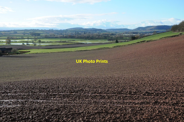 Photo 6"x4" The Lugg meadows Burmarsh\/SO5346 c2012