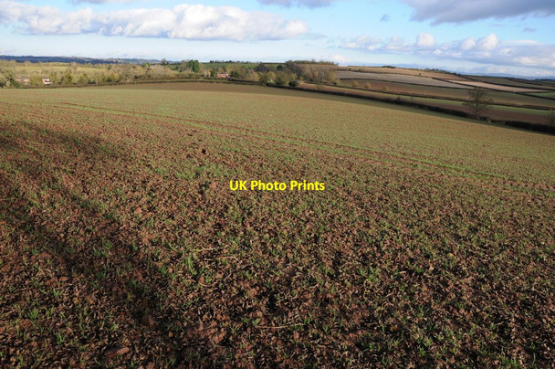 Photo 6"x4" Arable land viewed from Sutton Walls Fort Burmarsh\/SO5346 c2012