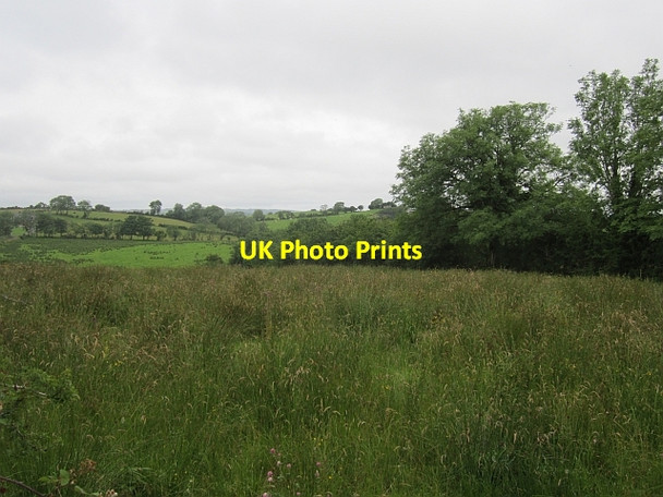 Photo 6"x4" Dunaree Gardens Kingscourt\/N7895 c2012