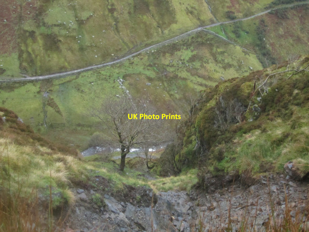 Photo 6"x4" Steep ravine down the hillside Briery c2012