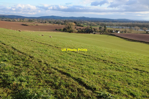 Photo 6"x4" Field above Sutton St Michael Burmarsh\/SO5346 c2012