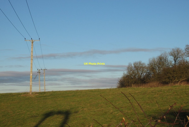 Photo 6"x4" Electricity poles in the field Leighton Buzzard c2012