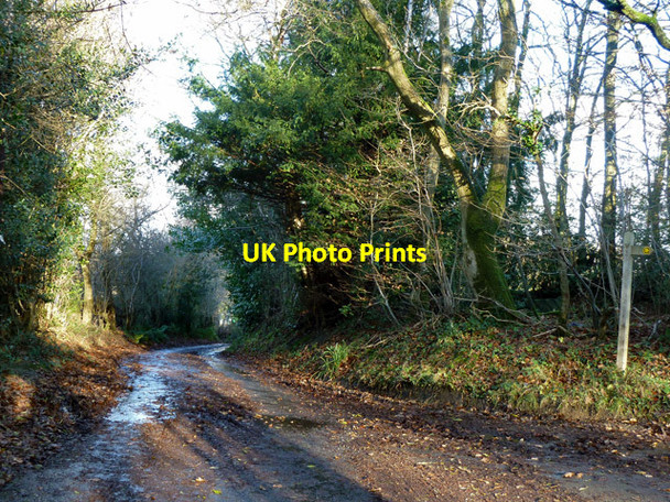Photo 6"x4" Greenwoods Lane, Punnett's Town Punnett's Town c2012