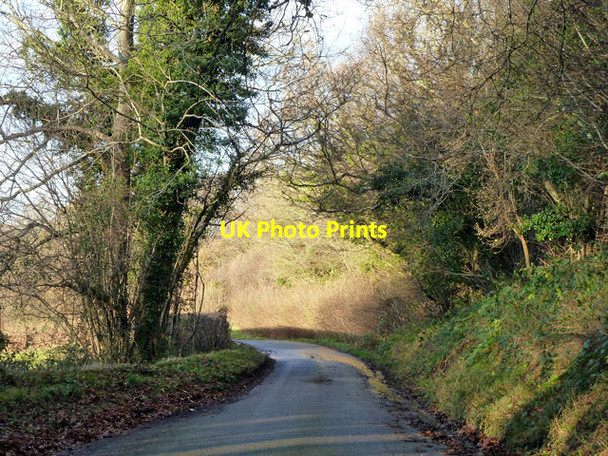 Photo 6"x4" Willingford Lane Burwash Weald c2012
