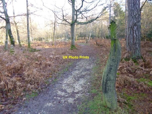 Photo 6"x4" Knightwood, marker Bank\/SU2807 c2012