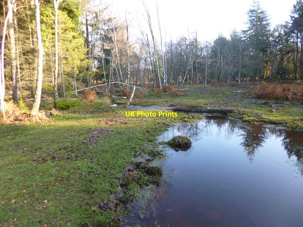 Photo 6"x4" Knightwood Inclosure, brook Bank\/SU2807 c2012