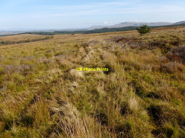 Photo 6"x4" Remains of a boundary Mill of Haldane c2012