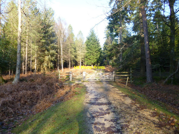 Photo 6"x4" Holidays Hill Inclosure, gates Bank\/SU2807 c2012