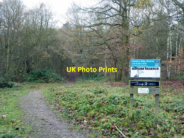Photo 6"x4" Little Baddow Heath nature reserve Runsell Green c2012
