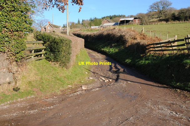 Photo 6"x4" Little Corras Farm White Rocks c2012
