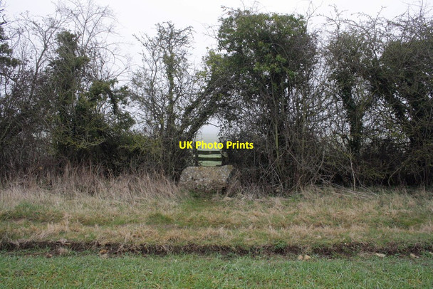 Photo 6"x4" Stile in hedge for footpath across fields Stanford in the Vale c2012