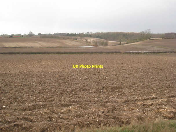 Photo 6"x4" View towards Risby Park Risby\/TA0034 c2012