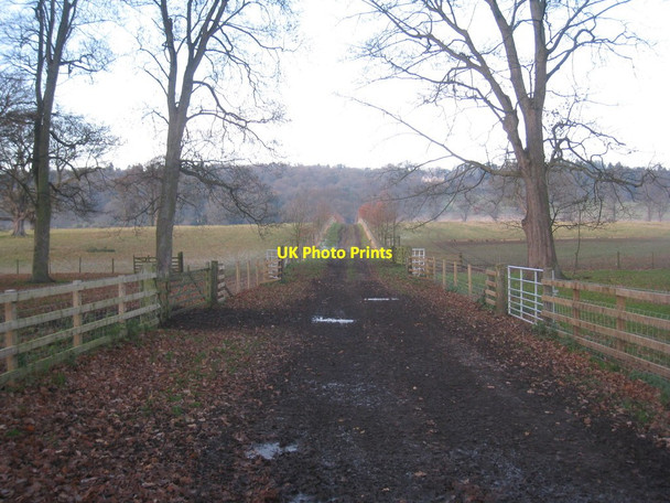 Photo 6"x4" Avenue to Beaufront Castle Sandhoe c2012