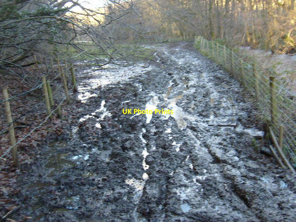 Photo 6"x4" Motorbike damage Lowna c2012