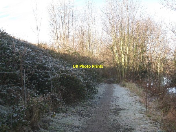 Photo 6"x4" Below the railway embankment Broomhaugh c2012