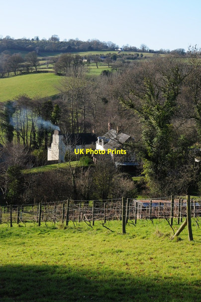 Photo 6"x4" Houses in the Monnow valley Kentchurch c2012