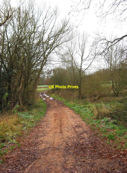 Photo 6"x4" Track near Springfield Park, near Kidderminster Kidderminster c2012