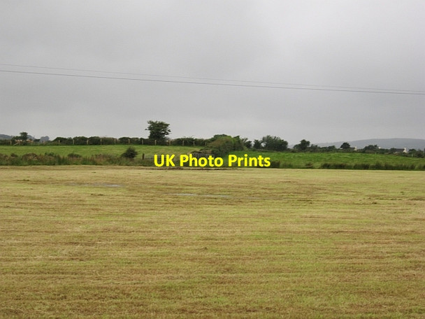 Photo 6"x4" Harvested silage Carrigans c2012